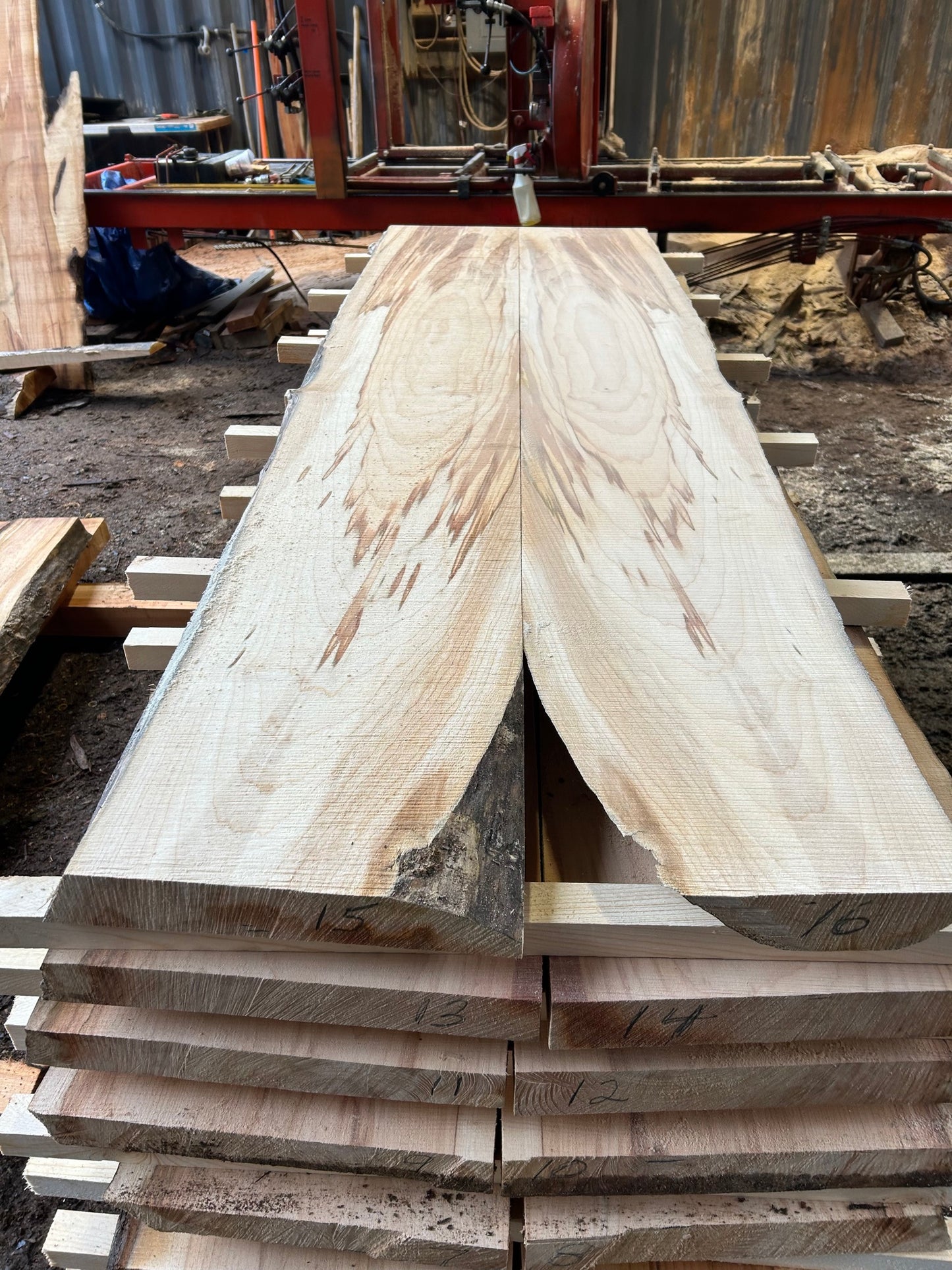 Book Matched Maple Slabs - slab 7, 86x28x2.25 inches