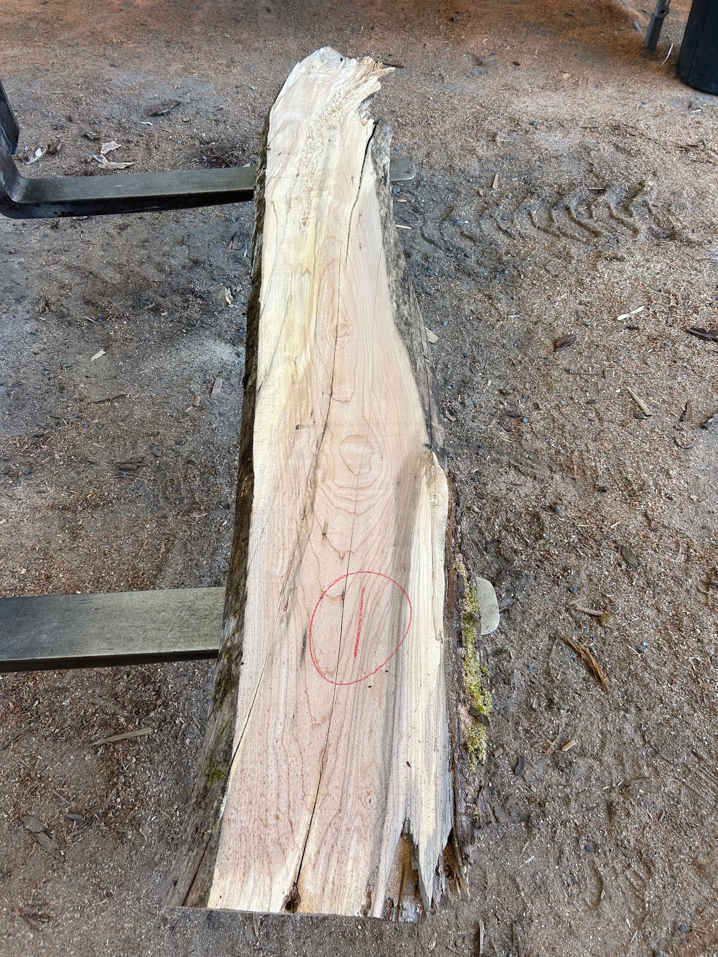 Maple Slabs - 104" Flitch - slab 1, 104x14x2.5 inches