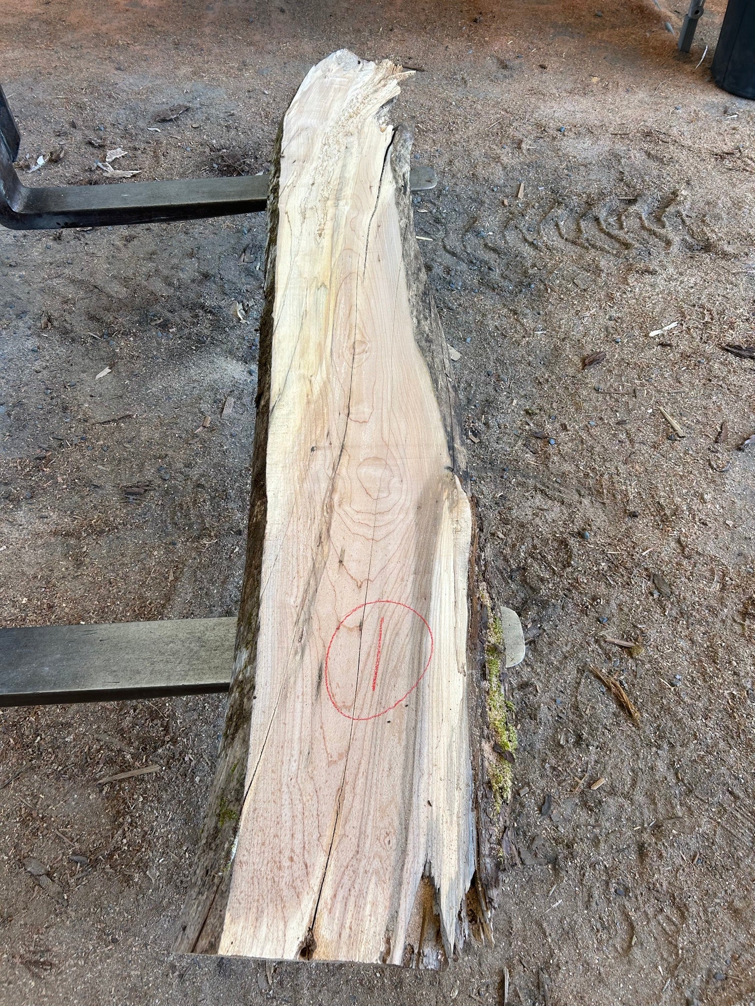 Maple Slabs - 104" Flitch - slab 1, 104x14x2.5 inches