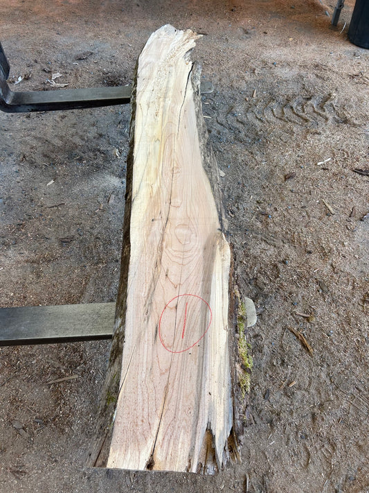 Maple Slabs - 104" Flitch - slab 1, 104x14x2.5 inches
