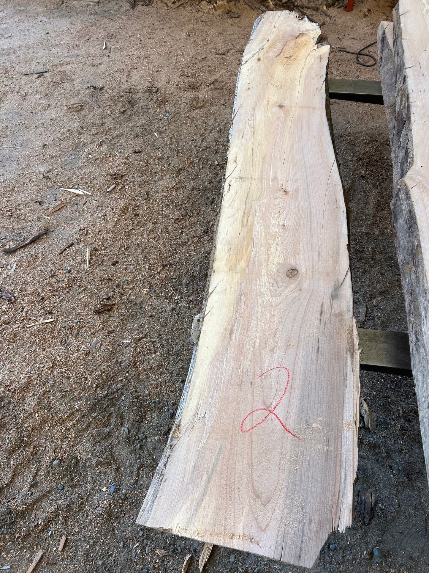 Maple Slabs - 104" Flitch - slab 2, 104x16x2.5 inches
