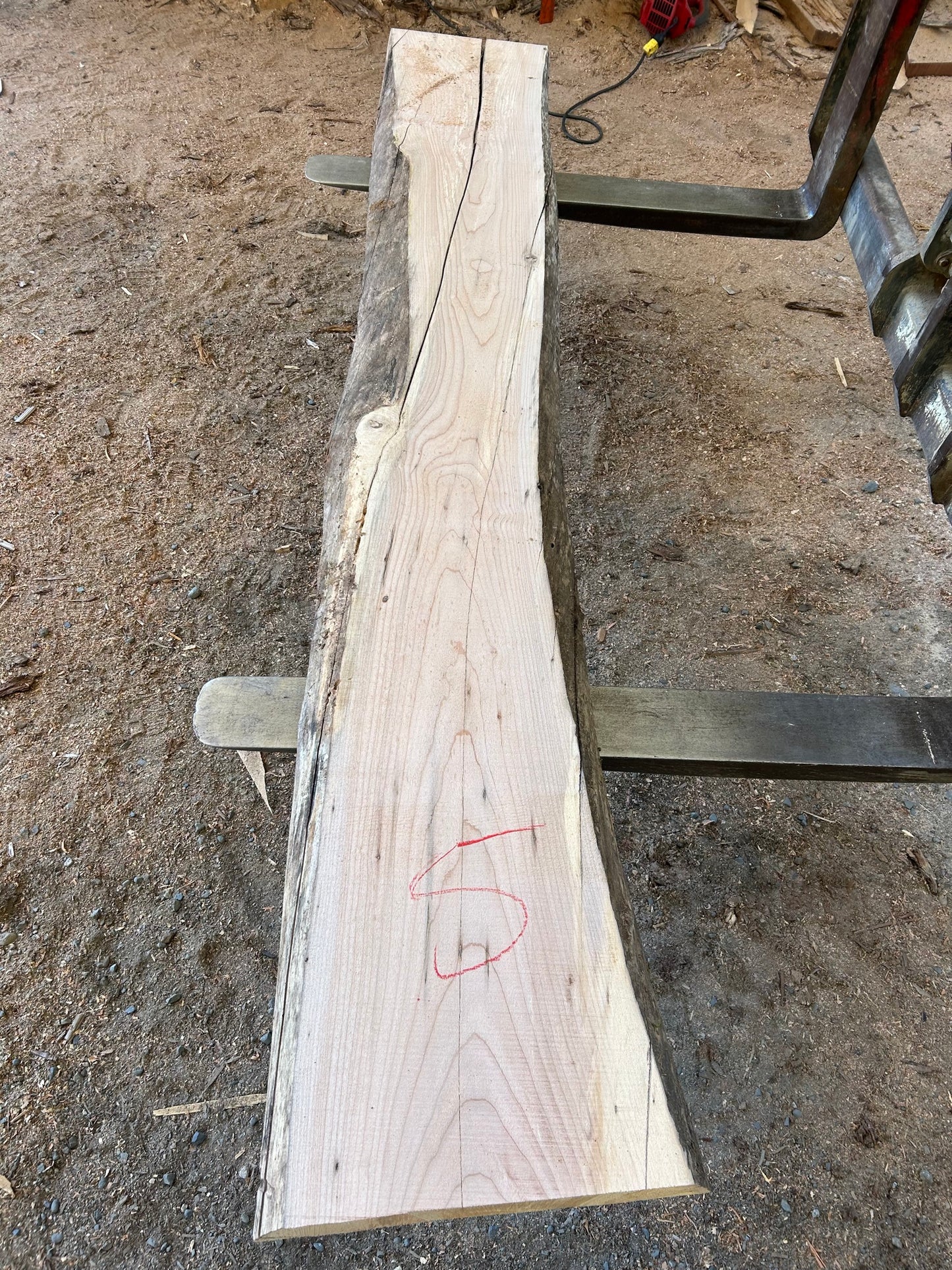 Maple Slabs - 104" Flitch - slab 5, 104x12x2.5 inches