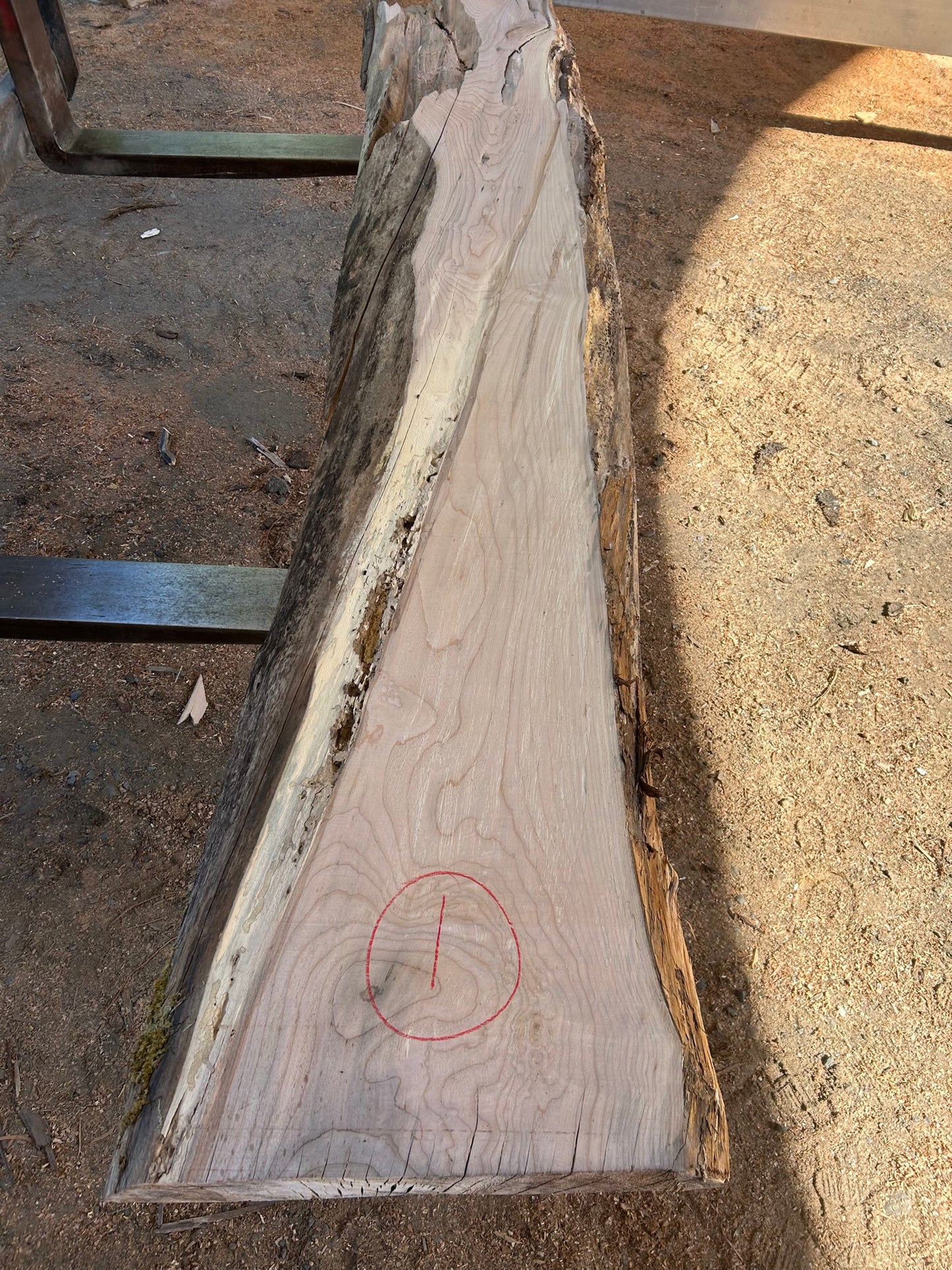 Maple Slabs - 144" Flitch - slab 1, 144x18x2.75 inches