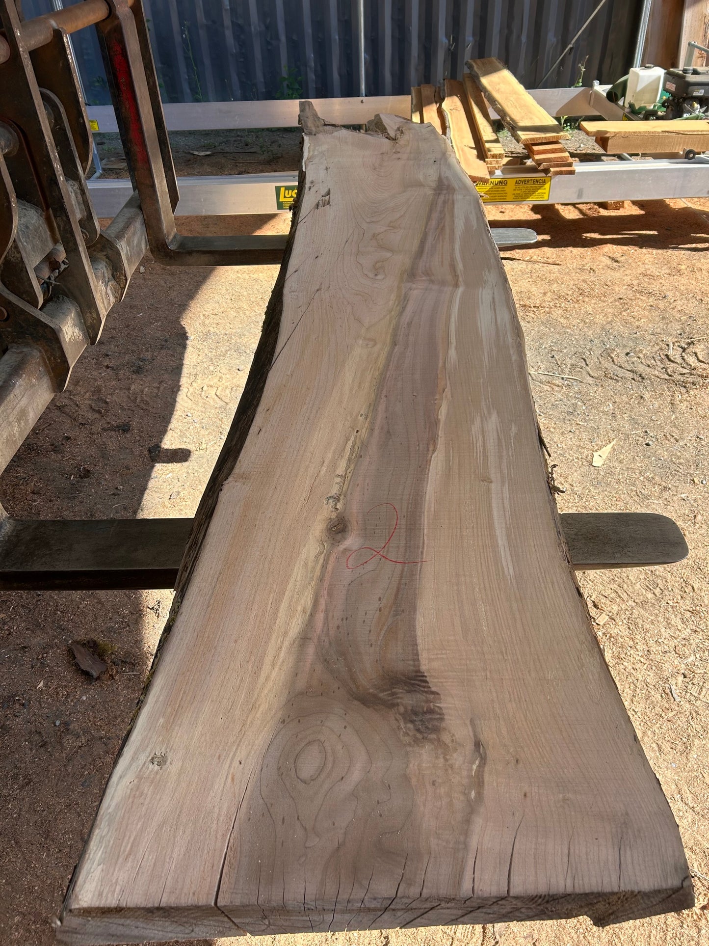 Maple Slabs - 144" Flitch - slab 2, 144x21x2.75 inches