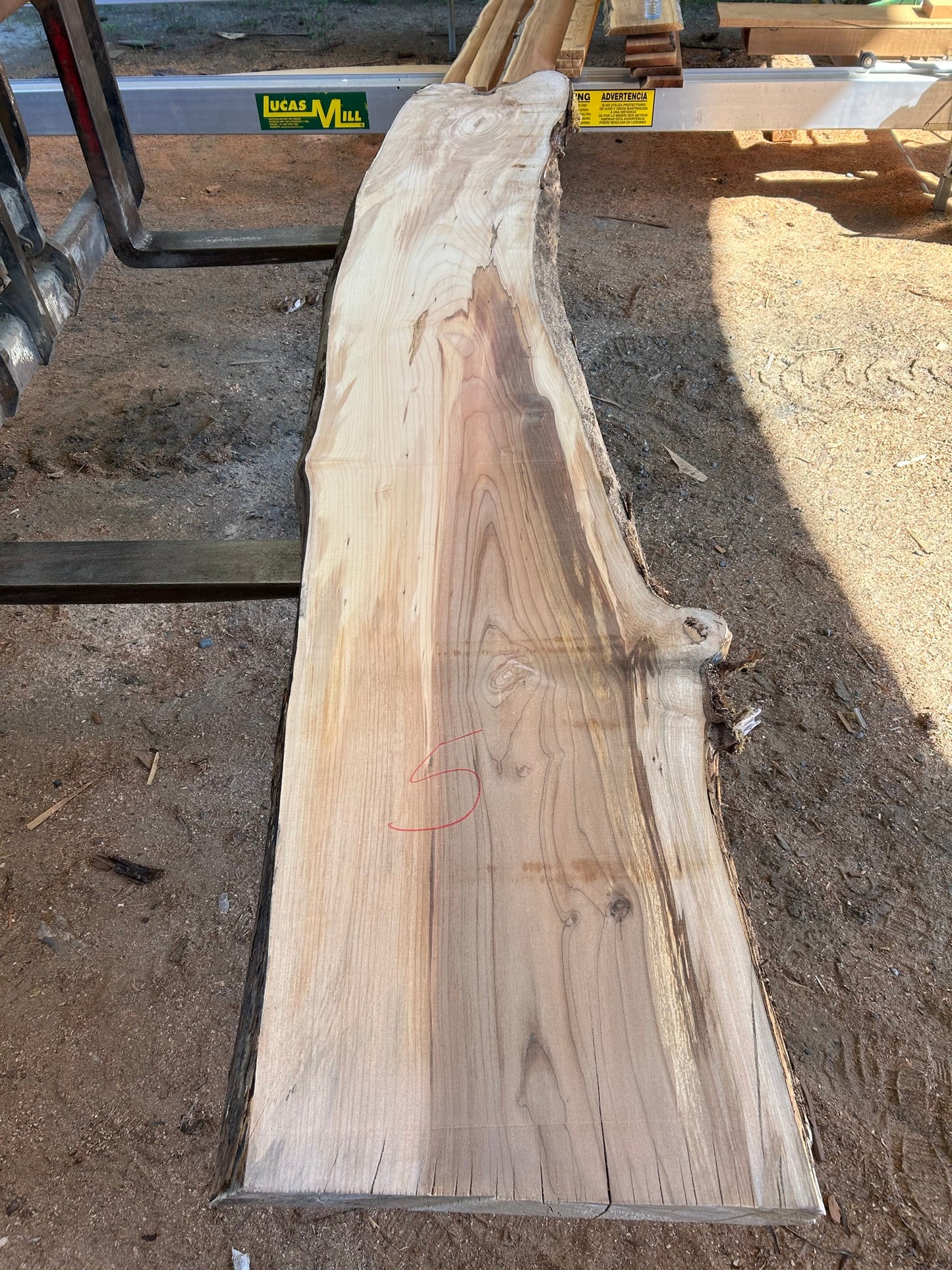 Maple Slabs - 144" Flitch - slab 5, 144x20x2.75 inches
