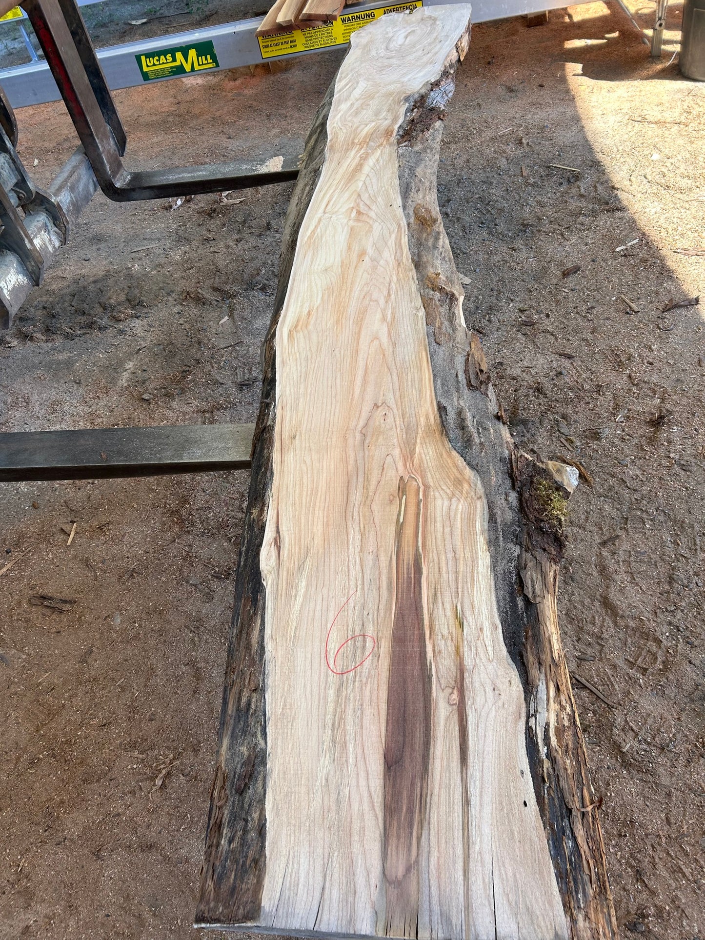 Maple Slabs - 144" Flitch - slab 6, 144x14x2.75 inches