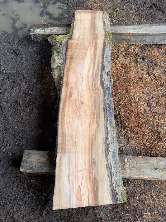 Maple Slabs - 75" Flitch - slab 1, 75x20x2.5 inches