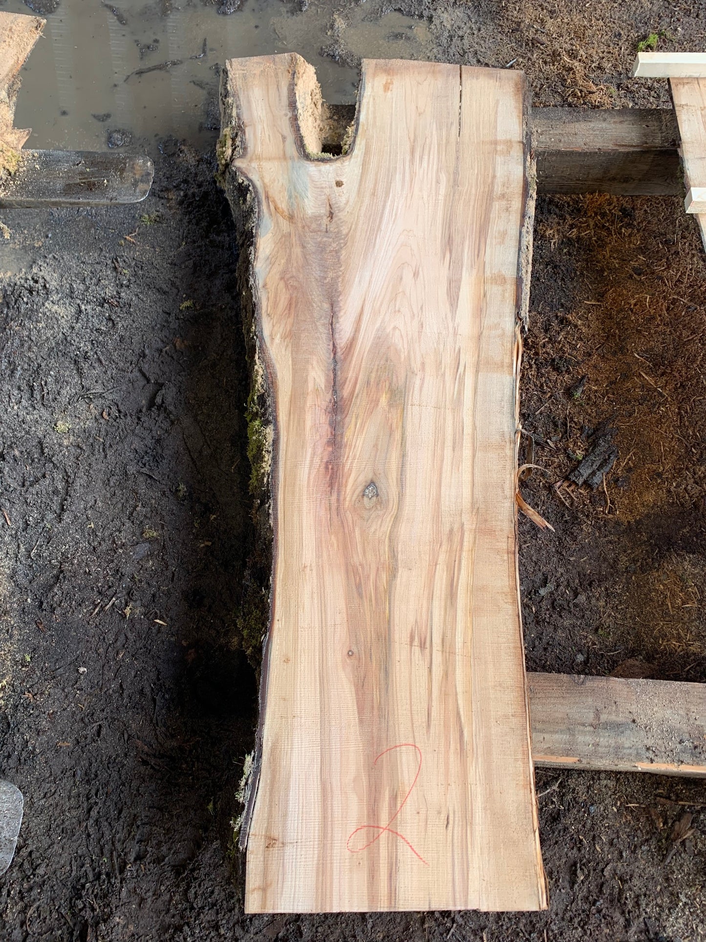 Maple Slabs - 75" Flitch - slab 2, 75x22x2.5 inches