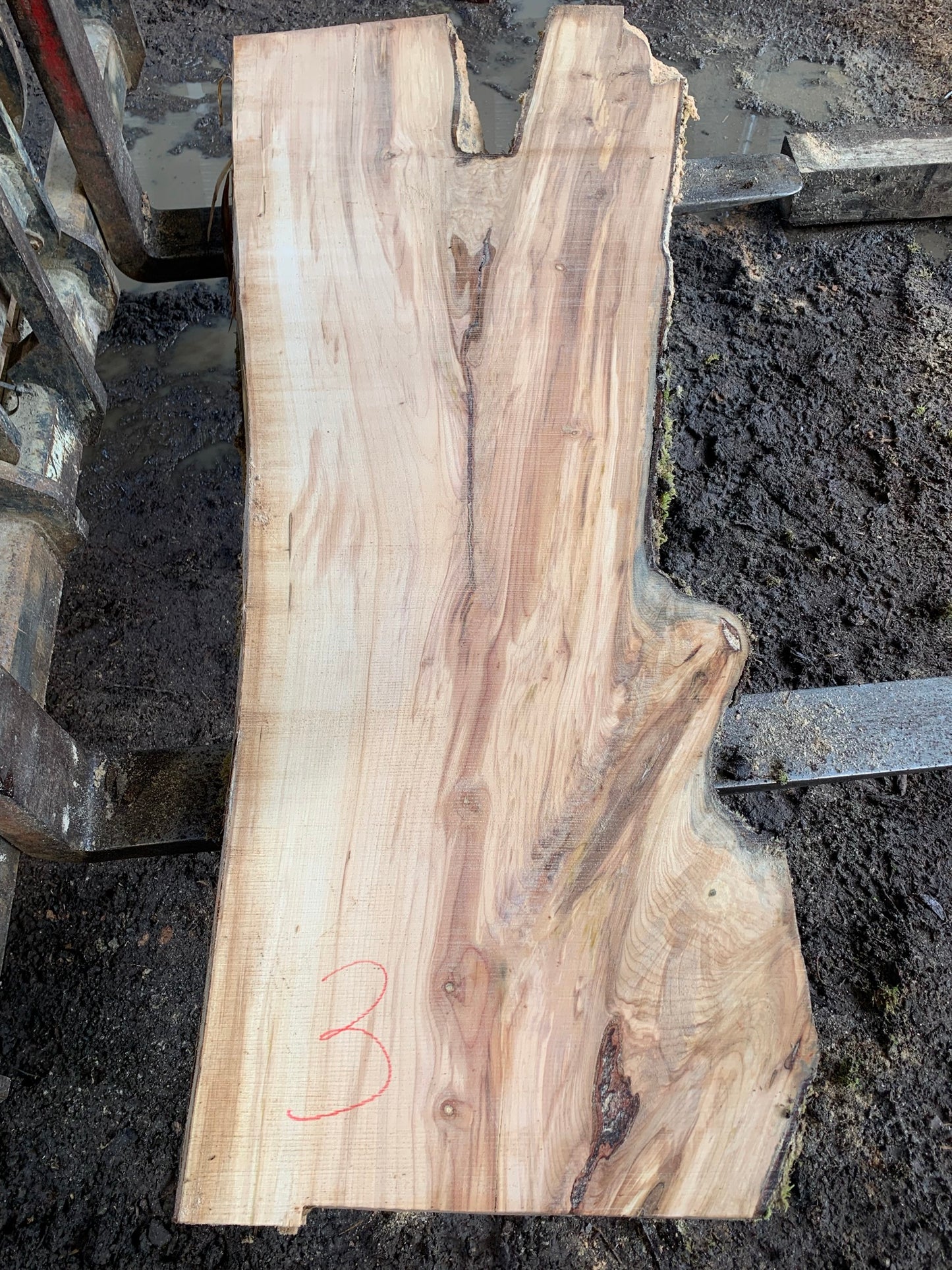 Maple Slabs - 75" Flitch - slab 3, 75x22x2.5 inches
