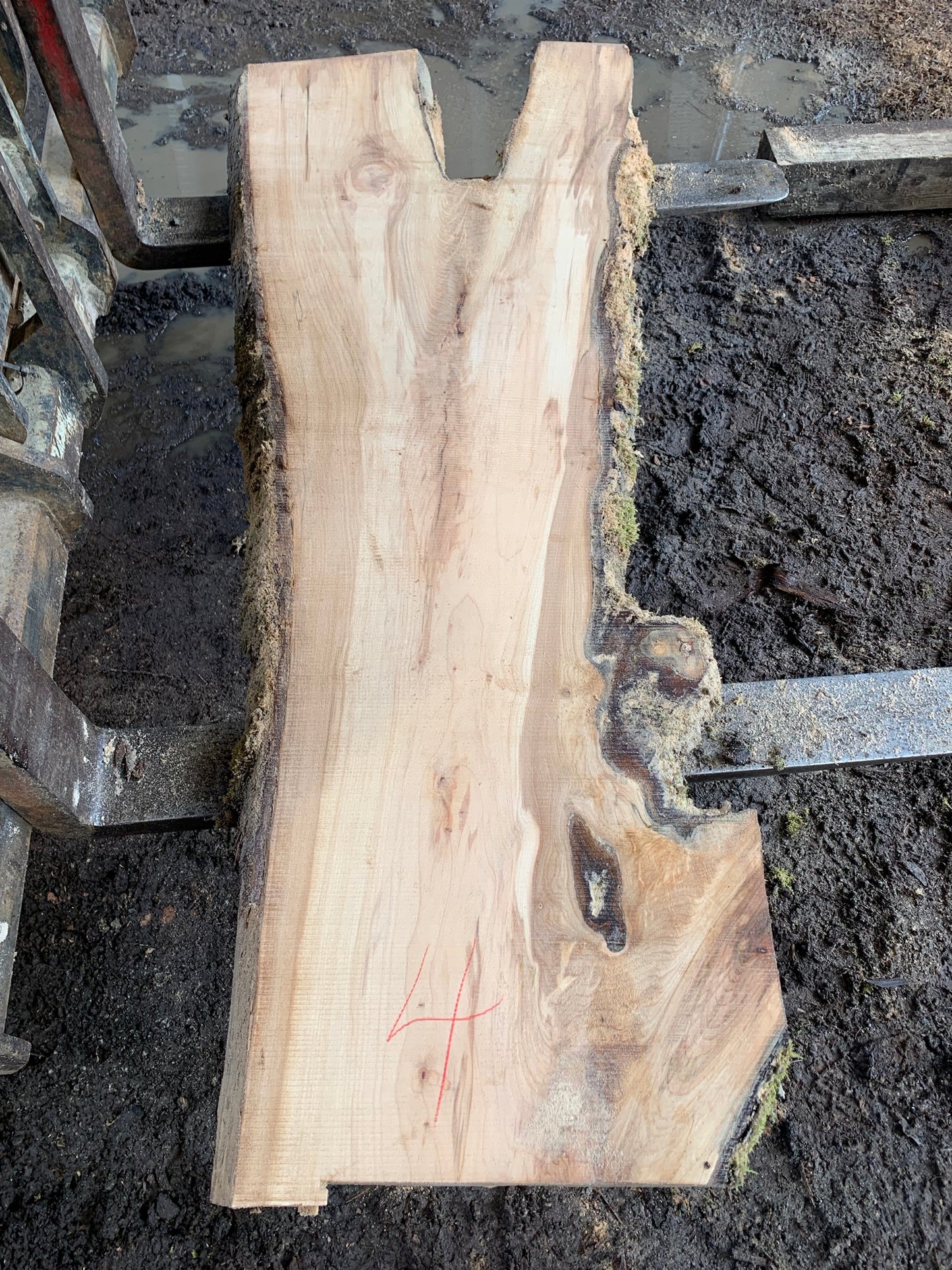 Maple Slabs - 75" Flitch - slab 4, 75x20x2.5 inches