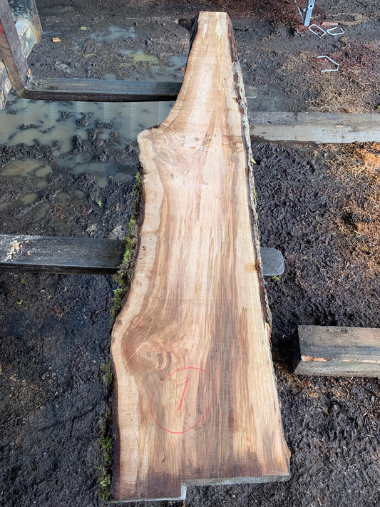 Maple Slabs - 100" Flitch - slab 1, 100x13x2.5 inches