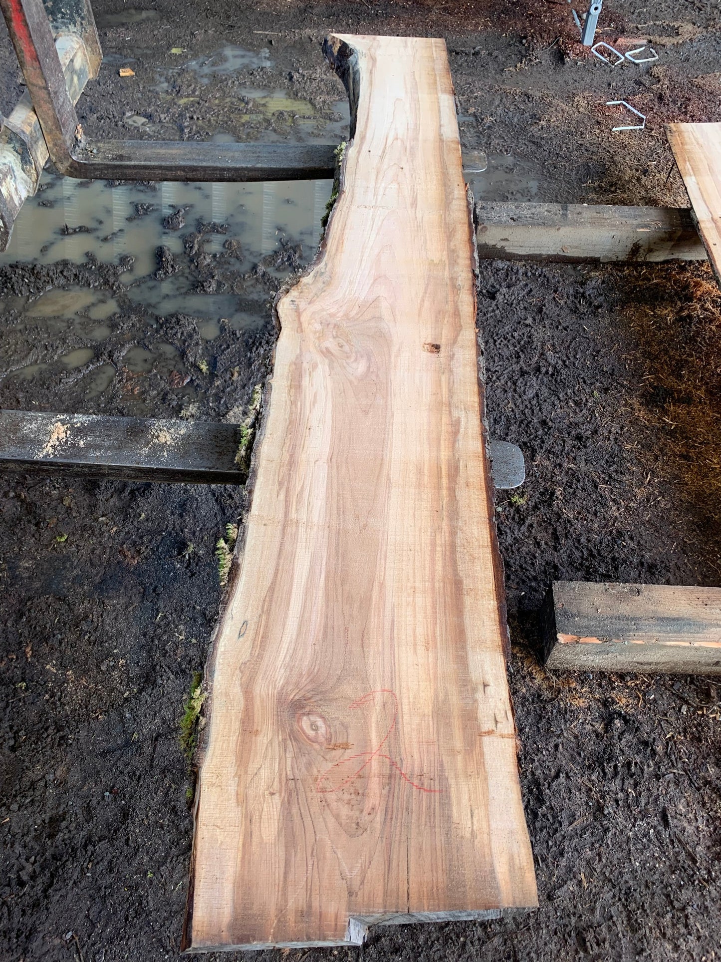 Maple Slabs - 100" Flitch - slab 2, 100x17x2.5 inches