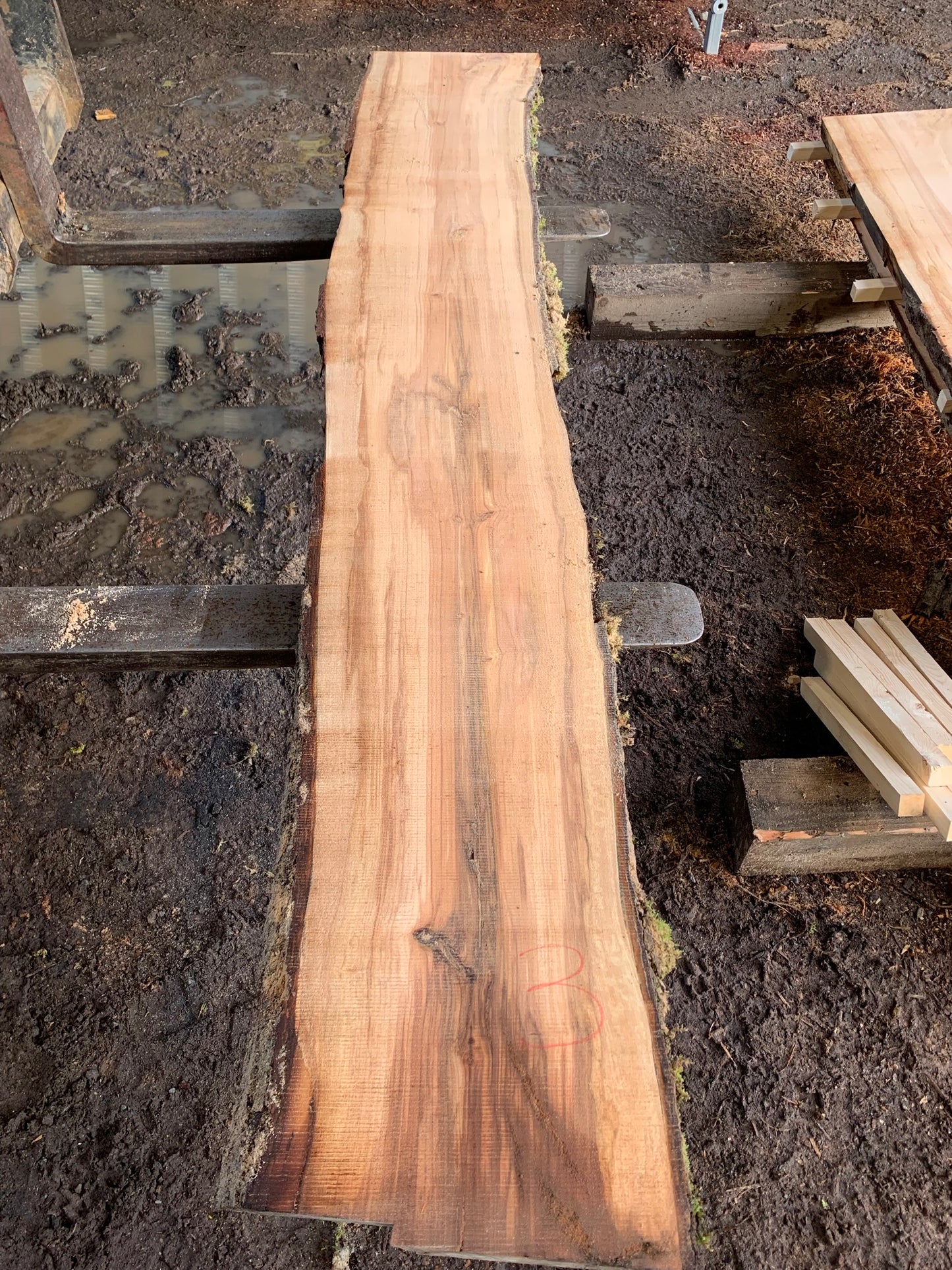 Maple Slabs - 100" Flitch - slab 3, 100x17x2.5 inches