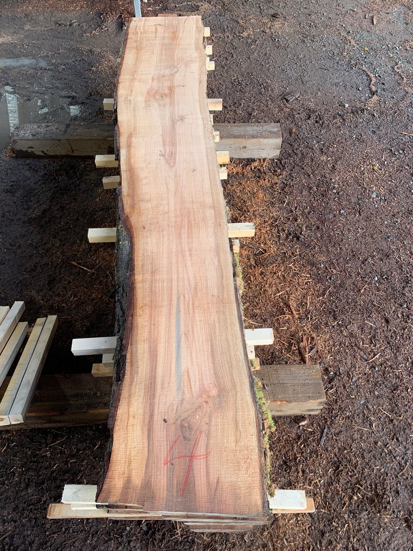 Maple Slabs - 100" Flitch - slab 4, 100x16x2.5 inches