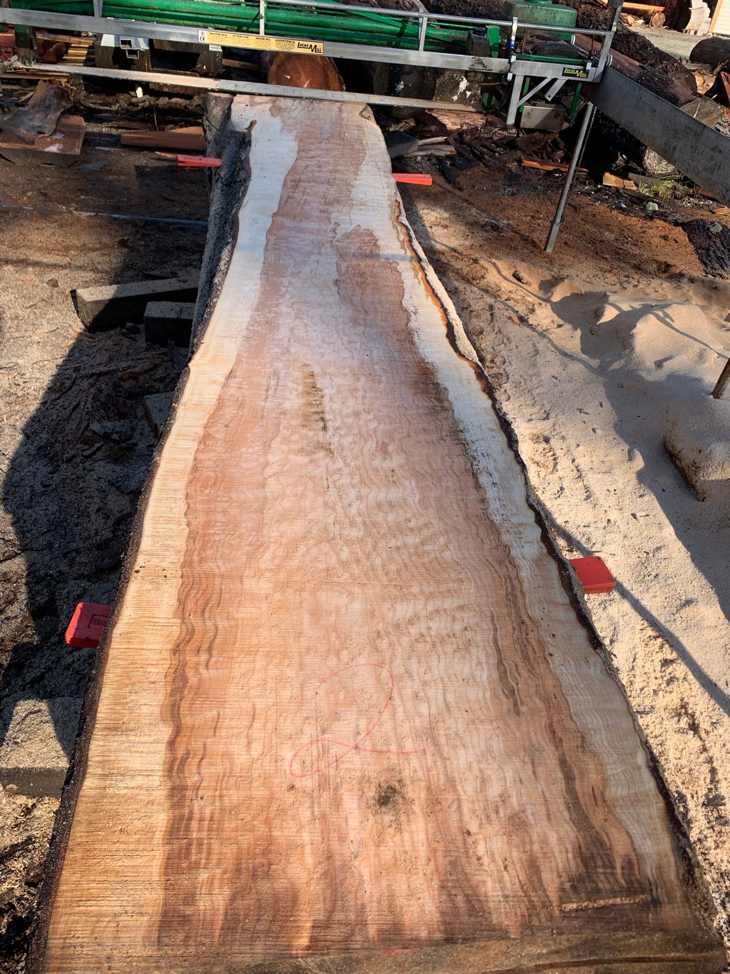 Big Chocolate Maple Slabs - slab 2, 164x25x3.5 inches