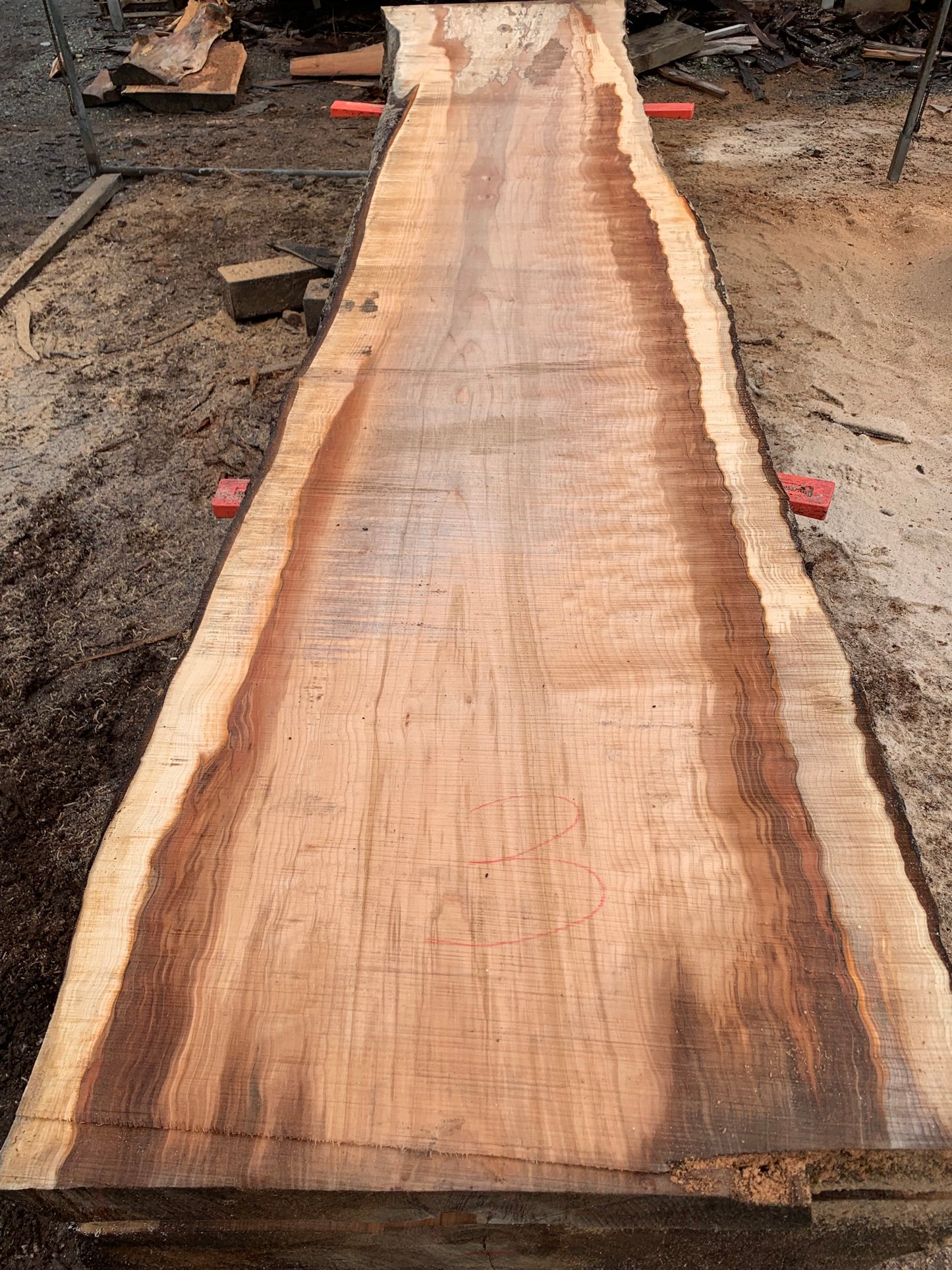 Big Chocolate Maple Slabs - slab 3, 164x32x3.5 inches