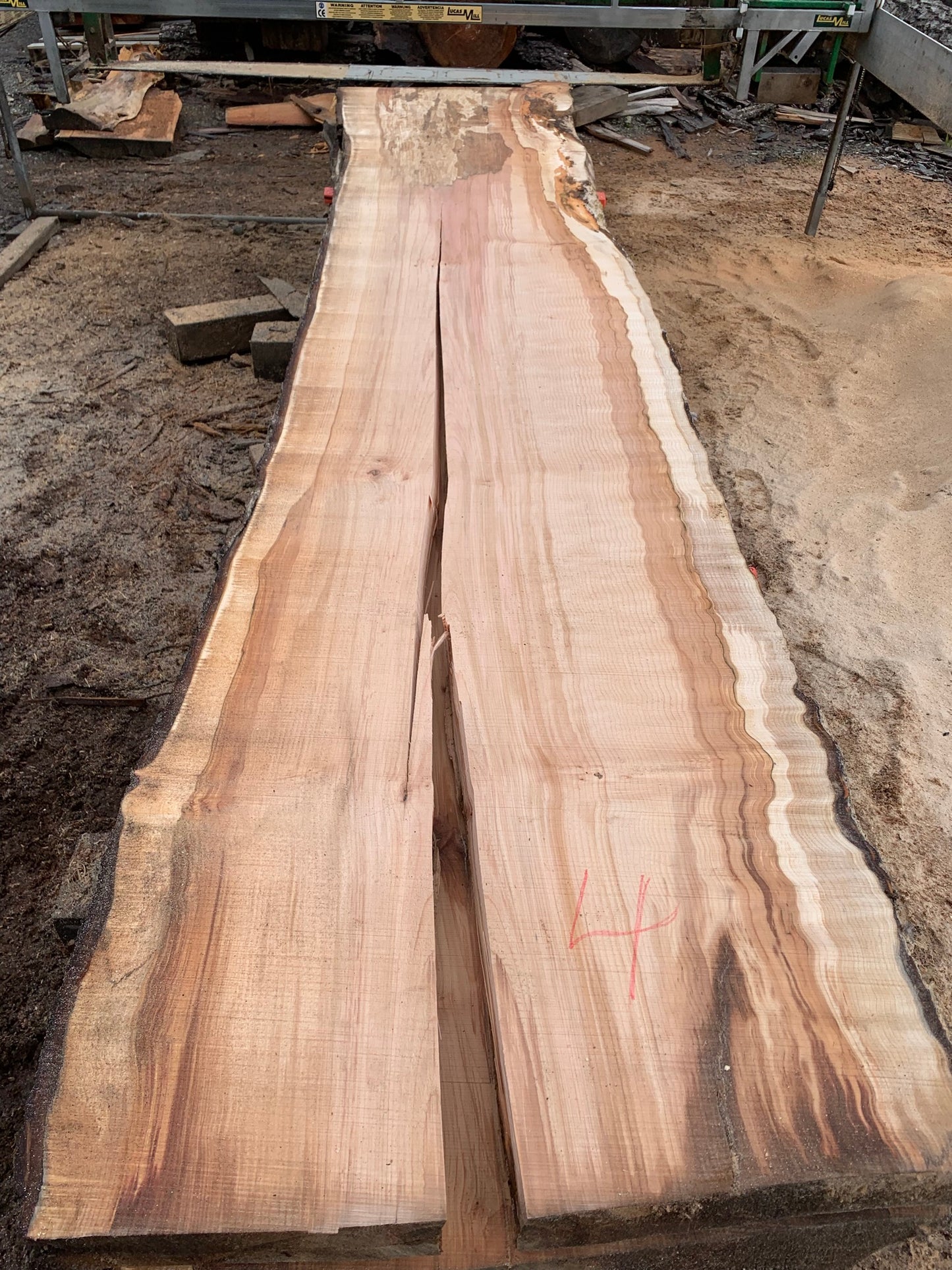 Big Chocolate Maple Slabs - slab 4, 164x34x3.5 inches