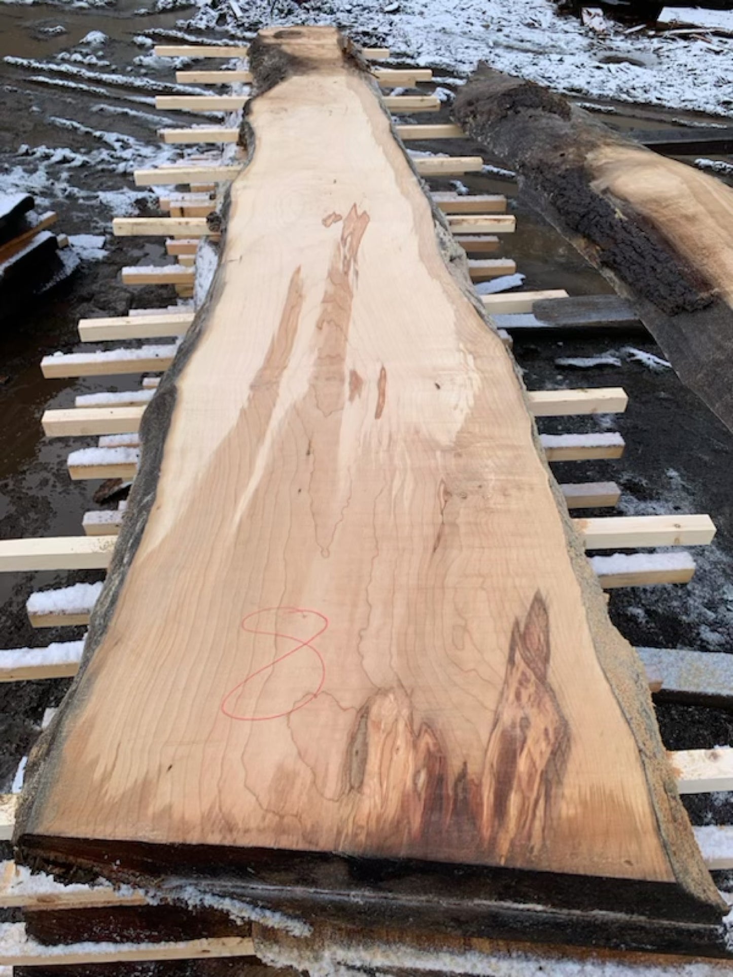 Big Chocolate Maple Slabs - slab 8, 164x18x3.5 inches