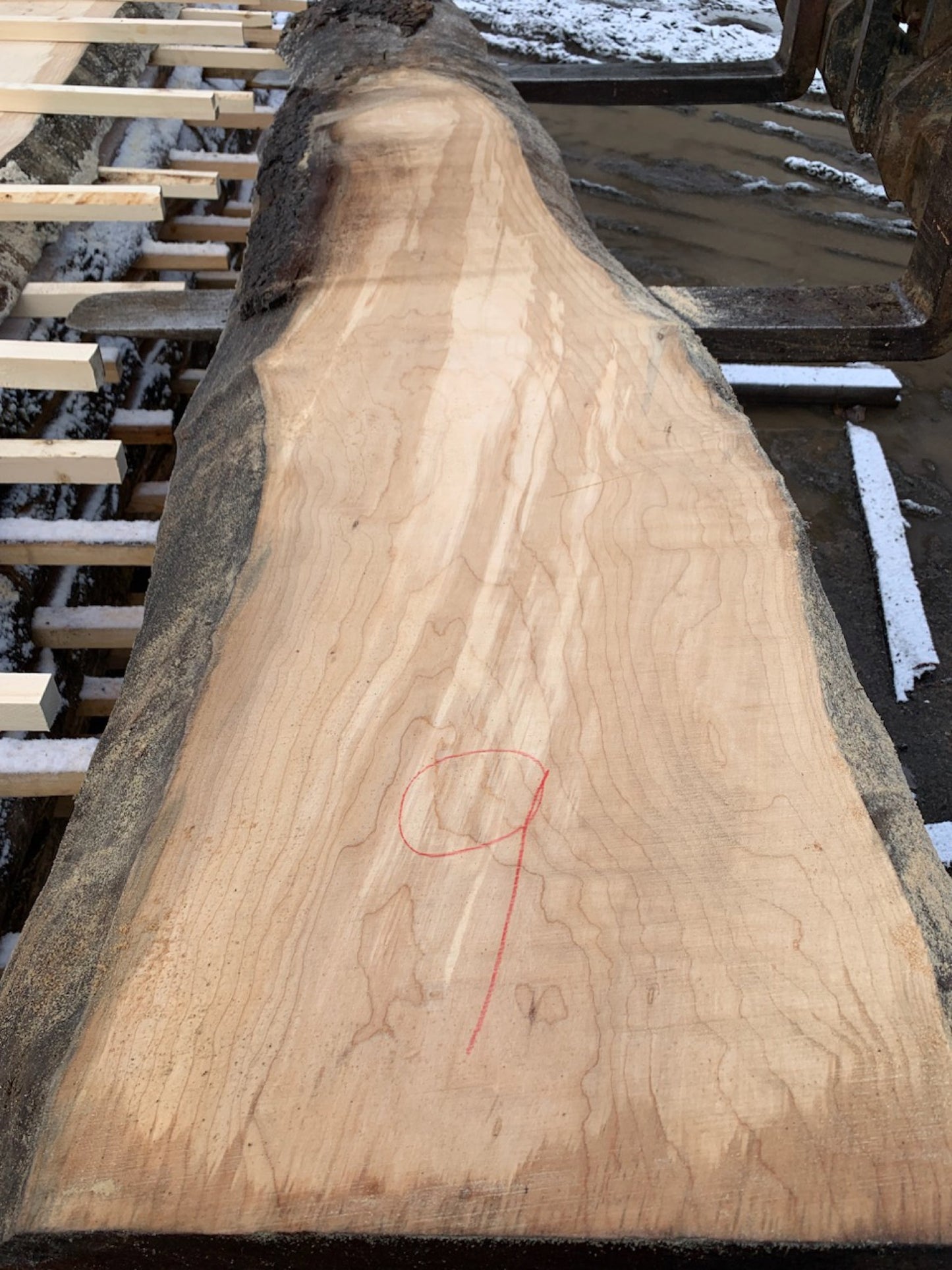 Big Chocolate Maple Slabs - slab 9, 164x16x3.5 inches