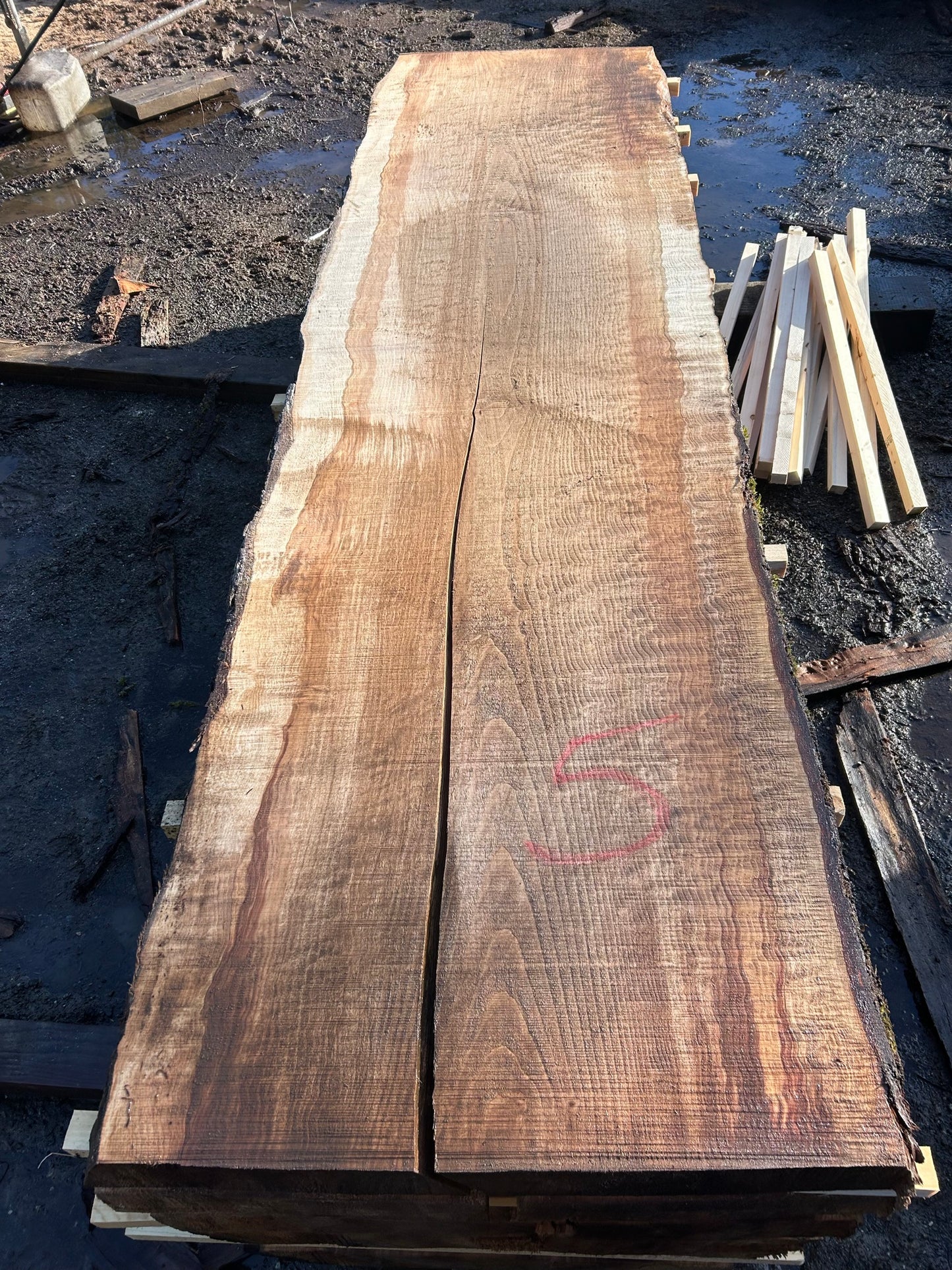 Quilted Chocolate Maple Slabs - slab 5, 119x31x3.5 inches