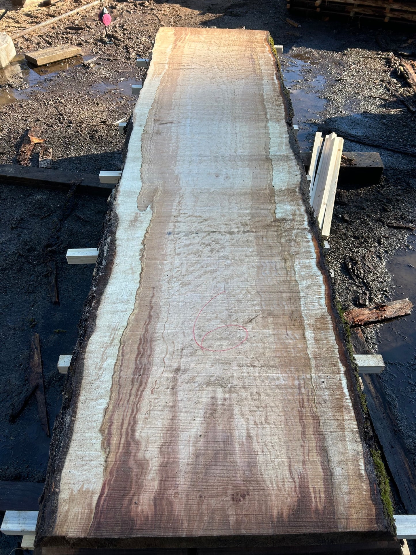 Quilted Chocolate Maple Slabs - slab 6, 119x27x3.5 inches