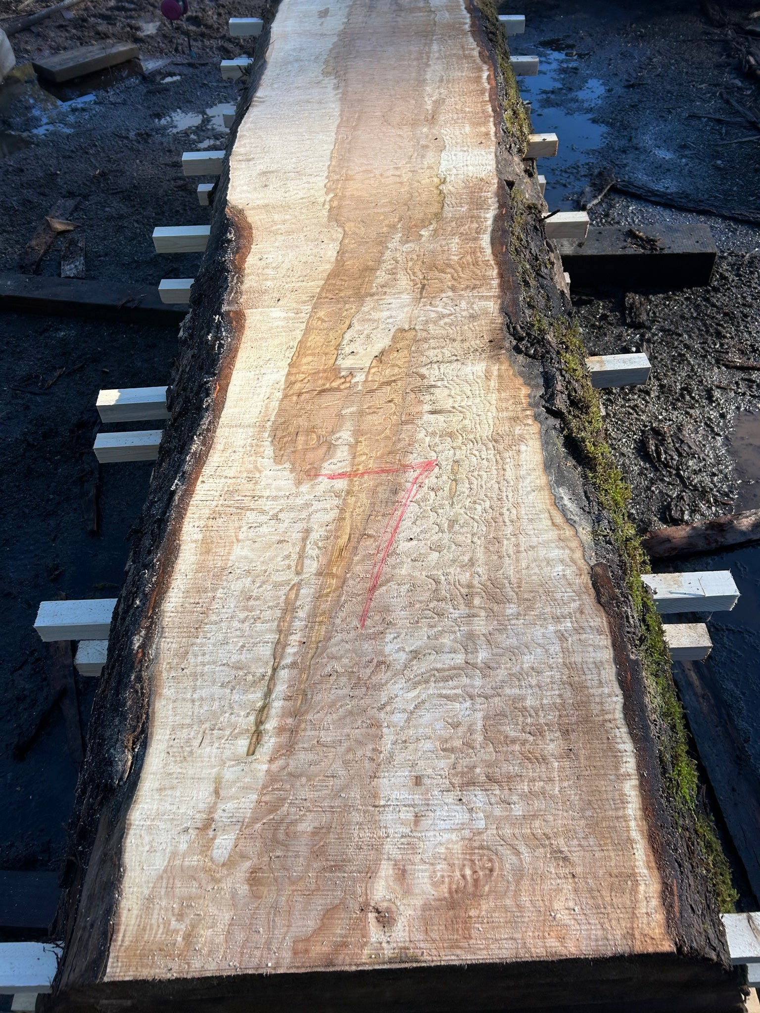 Quilted Chocolate Maple Slabs - slab 7, 119x22x3.5 inches