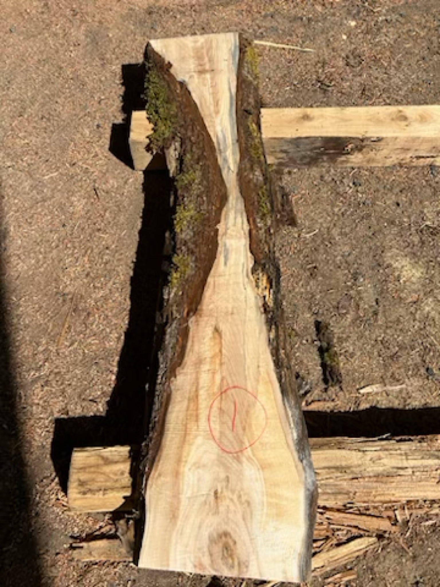Figured Maple Slabs - 72" Flitch - slab 1, 72x16x2.25 inches