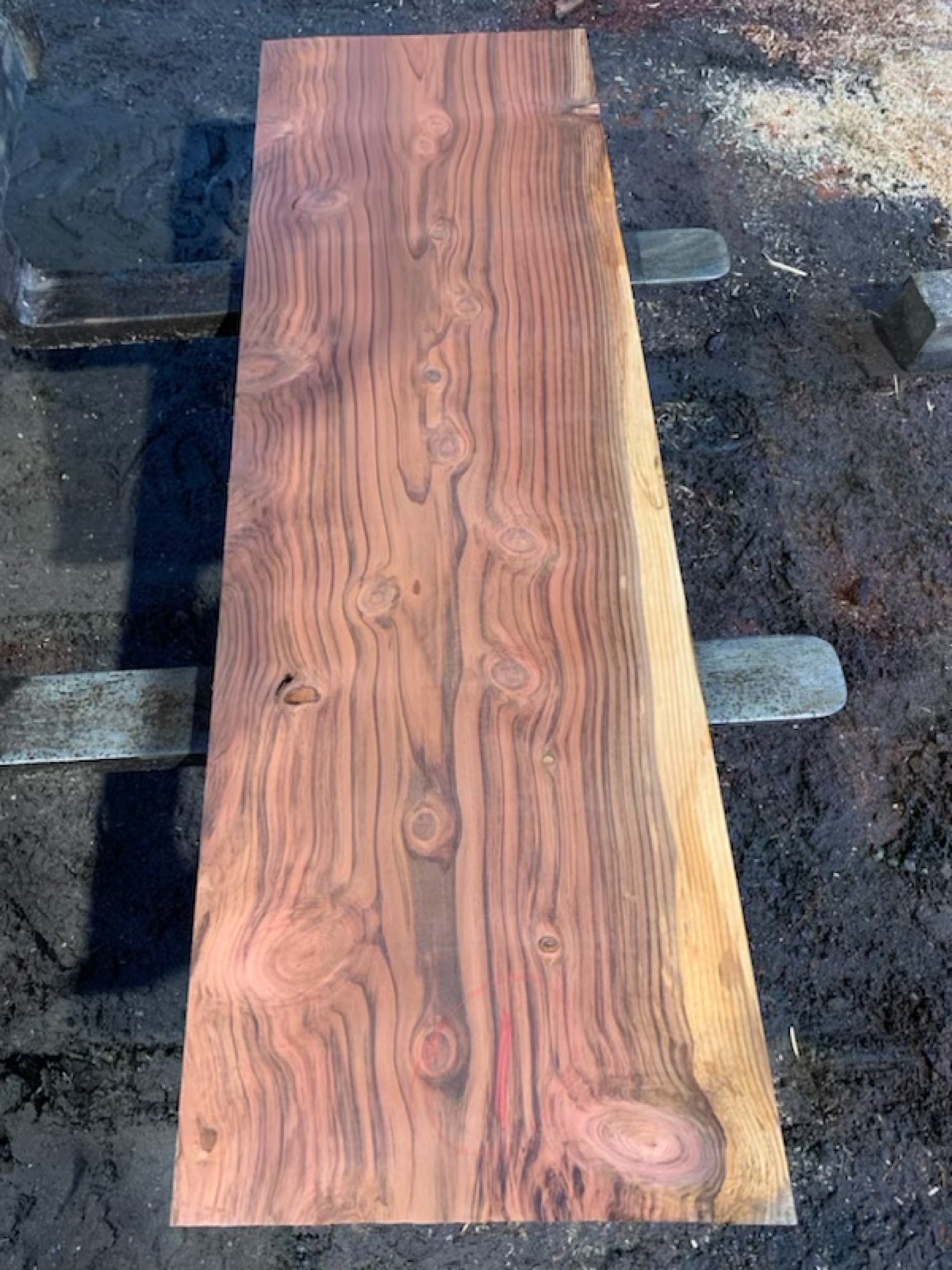 Sequoia Slabs - slab 1, 75x24x2.25 inches