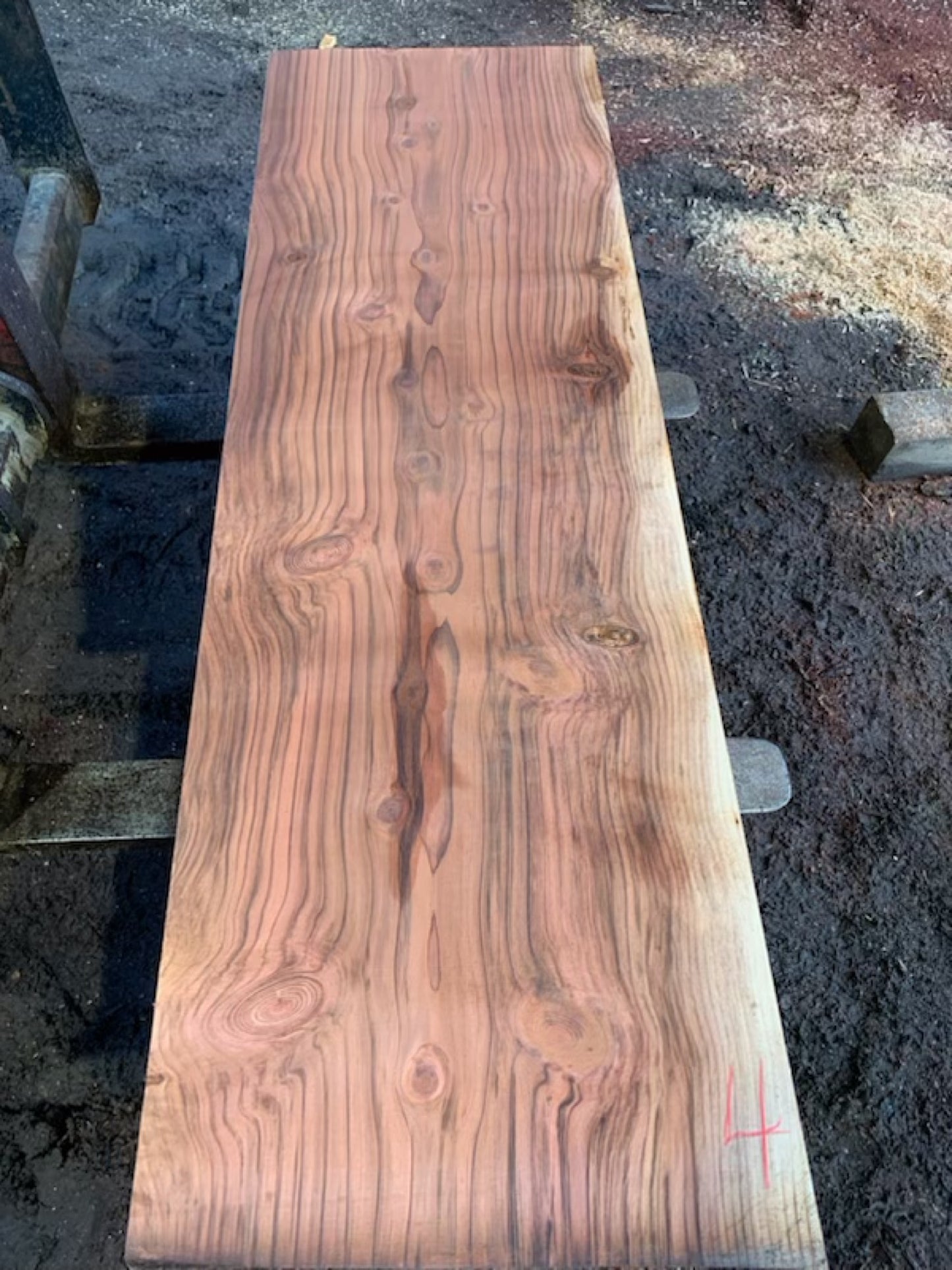Sequoia Slabs - slab 4, 75x24x2.25 inches