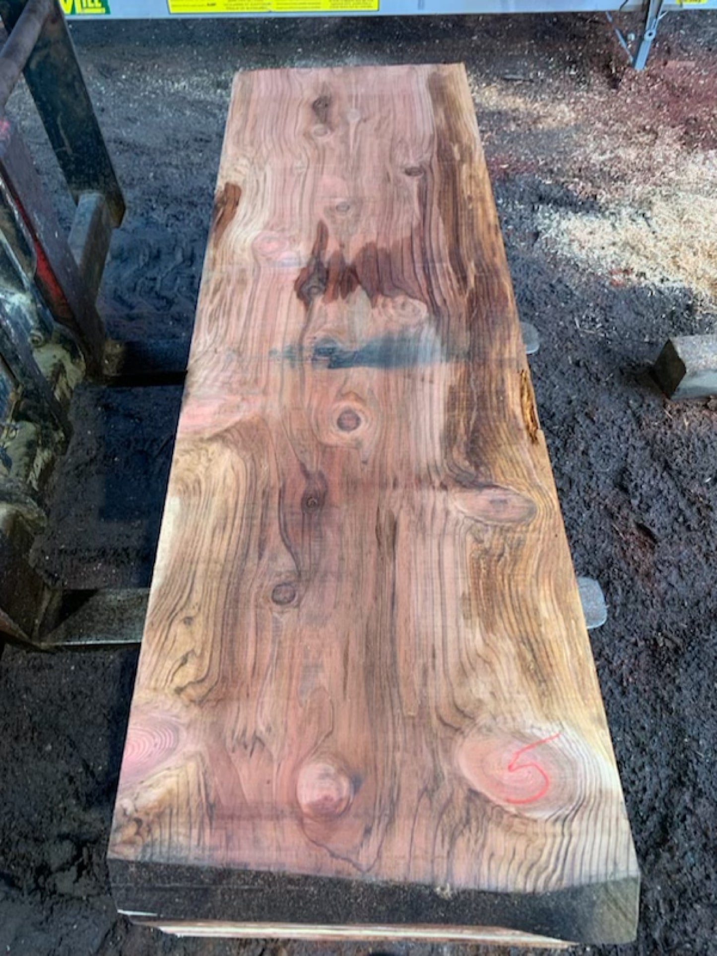 Sequoia Slabs - slab 5, 75x24x2.25 inches