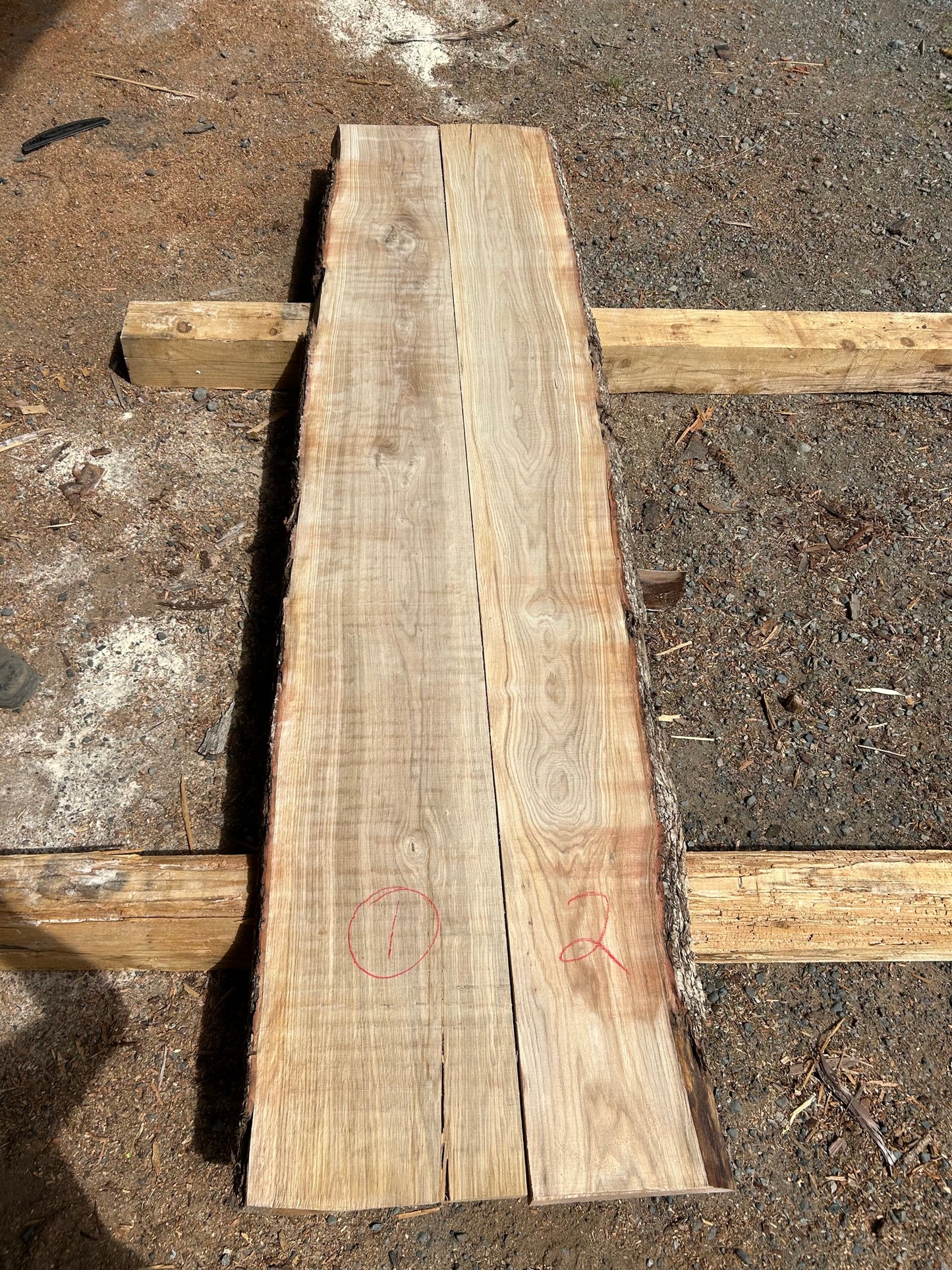 White Oak Pairs - slab 1, 109x24x2.25 inches