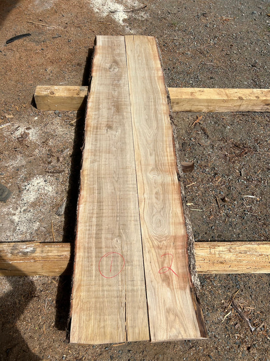 White Oak Pairs - slab 1, 109x24x2.25 inches