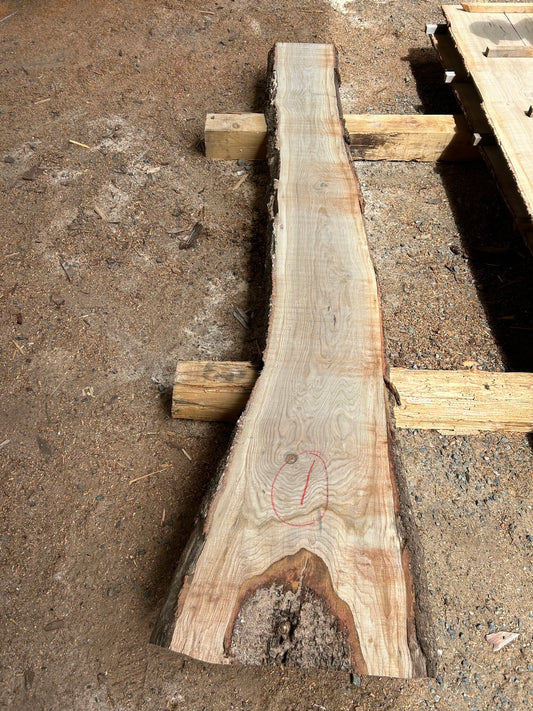 White Oak Slabs - 112" Flitch - slab 1, 112x16x2.5 inches